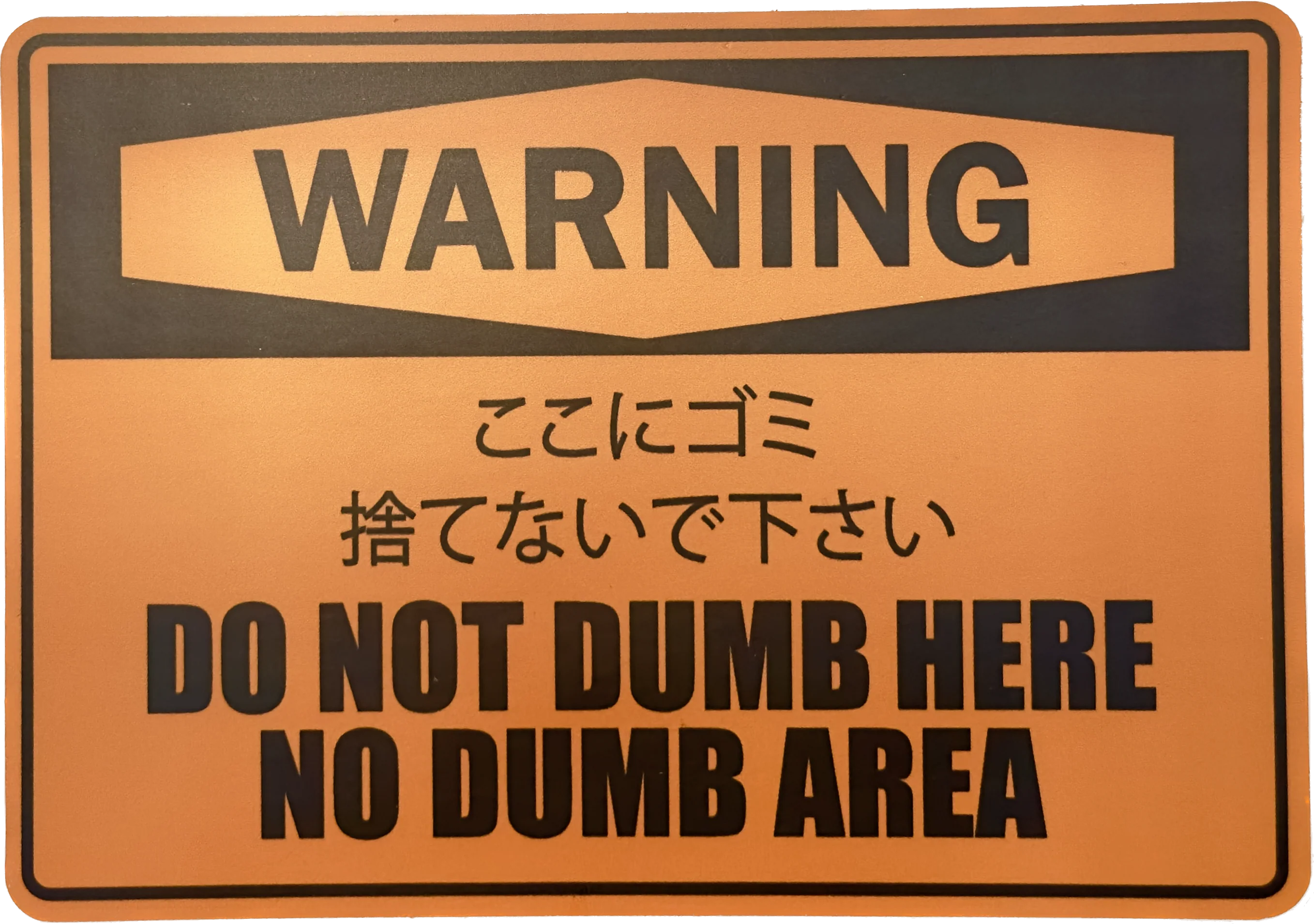 ⚠️WARNING: DO NOT DUMB HERE Sticker 12cm x 8cm